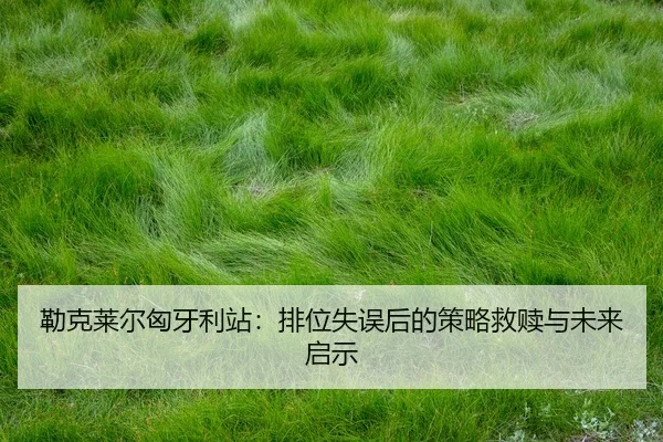lei-ke-lai-er-xiong-ya-li-zhan-pai-wei-shi-wu-hou-de-ce-lve-jiu-shu-yu-wei-lai-qi-shi-2-489.jpg