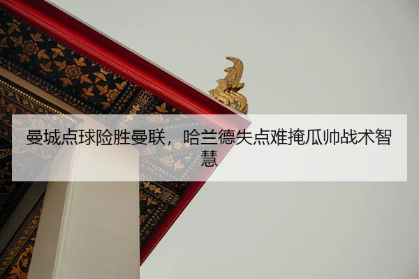 man-cheng-dian-qiu-xian-sheng-man-lian-ha-lan-de-shi-dian-nan-yan-gua-shuai-zhan-shu-zhi-hui-2-954.jpg