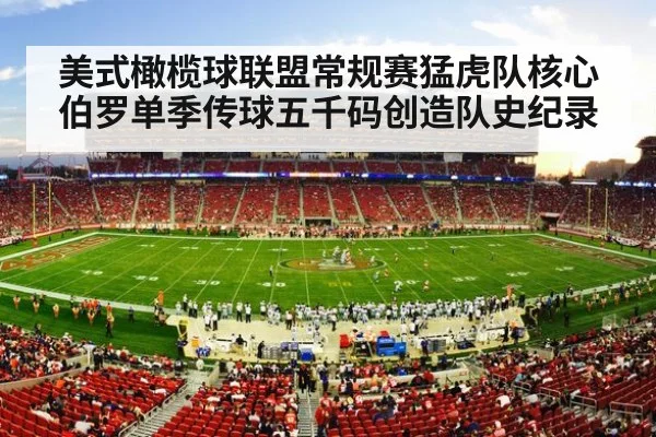 美式橄榄球联盟常规赛猛虎队核心伯罗单季传球五千码创造队史纪录